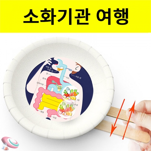 소화기관 여행 자석장난감 만들기 인체내부 장기구조