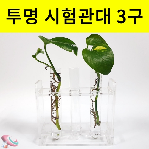 과학1번지 구정과학사,유리시험관 아크릴시험관대 3구 투명시험관대 플랜테리어