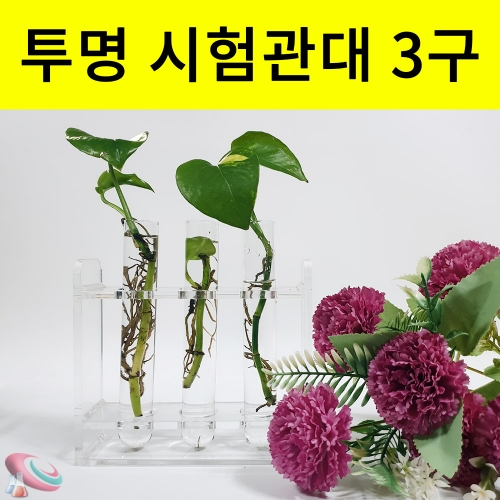과학1번지 구정과학사,유리시험관 아크릴시험관대 3구 투명시험관대 플랜테리어