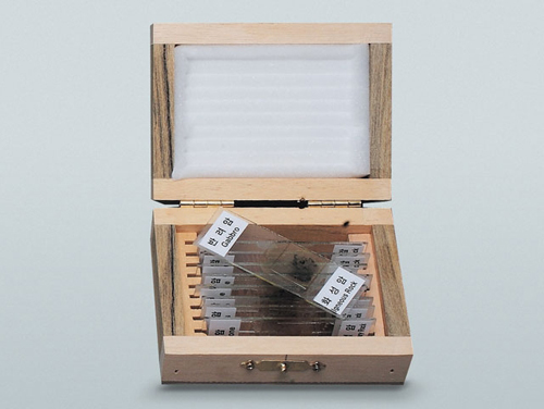 과학1번지 구정과학사,암석박편 암석의결정 특성 관찰표본