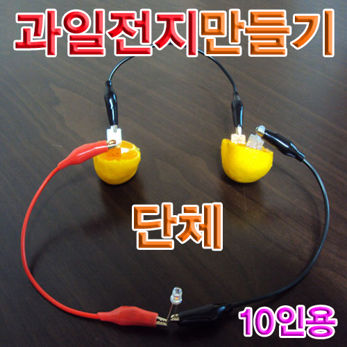 과일전지만들기 단체실험용재료 10인용